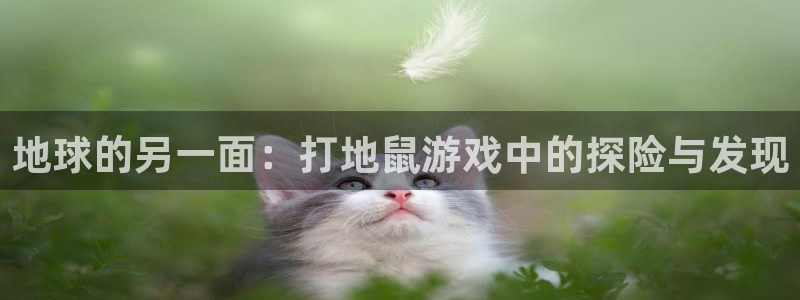 沐鸣网址注册：地球的另一面：打地鼠游戏中的探险与发现
