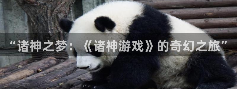 沐鸣娱乐账号怎么注册