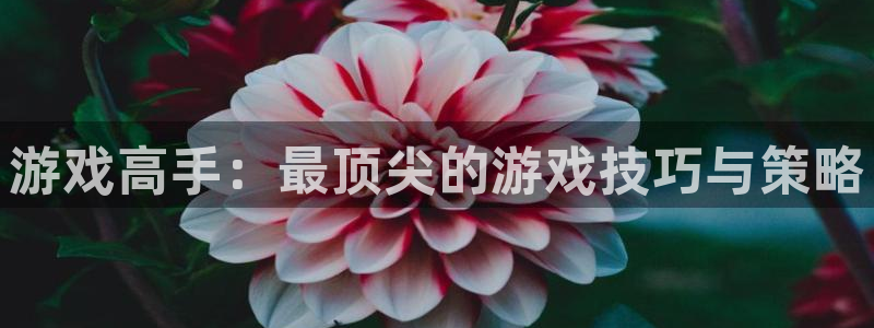 沐鸣Ii：游戏高手：最顶尖的游戏技巧与策略
