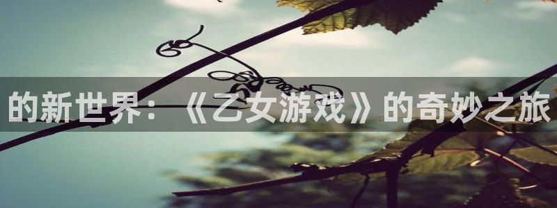 沐鸣娱乐登录地址是什么：的新世界：《乙女游戏》的奇妙之旅
