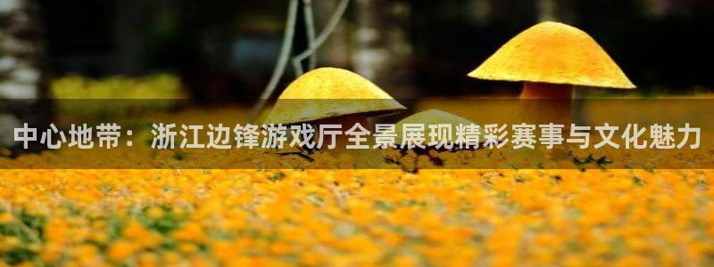 沐鸣平台登陆线路