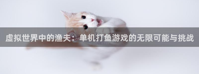 沐鸣娱乐注册登录平台官网：虚拟世界中的渔夫：单机打鱼游戏的无