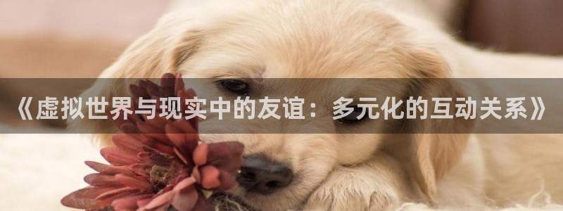 沐鸣平台：《虚拟世界与现实中的友谊：多元化的互动关系》