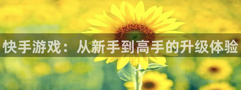 沐鸣在线登录官网：快手游戏：从新手到高手的升级体验