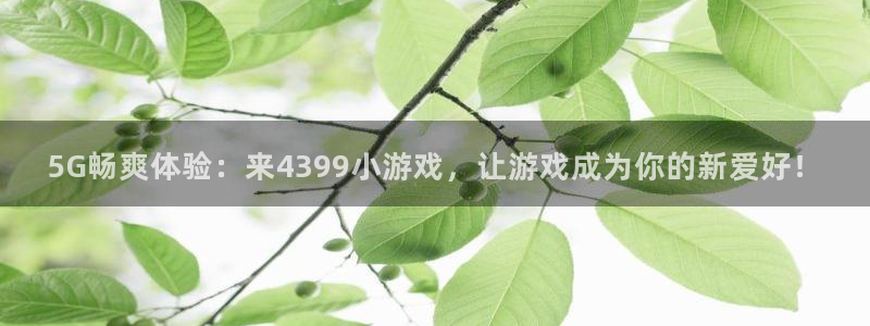 沐鸣总代理：5G畅爽体验：来4399小游戏，让游戏成为你的新
