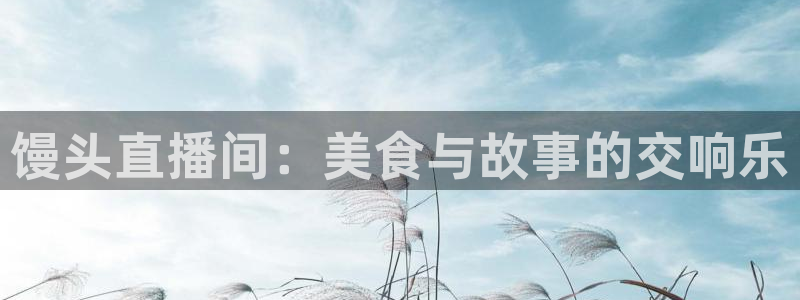 熊猫杯足球直播：馒头直播间：美食与故事的交响乐