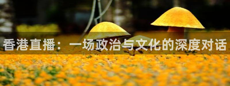 熊猫体育直播下载：香港直播：一场政治与文化的深度对话