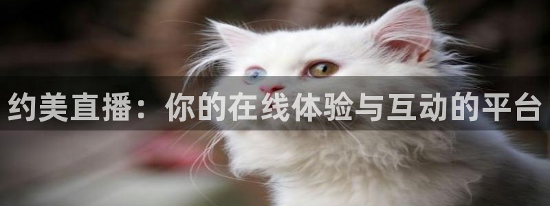 熊猫直播app：约美直播：你的在线体验与互动的平台