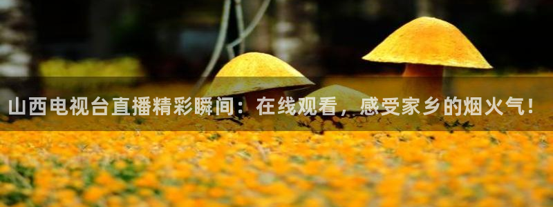 熊猫体育直播新版.新网页.org：山西电视台直播精彩瞬间：在线观看，感受家乡的烟火气！