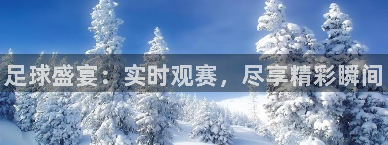 熊猫直播平台：足球盛宴：实时观赛，尽享精彩瞬间