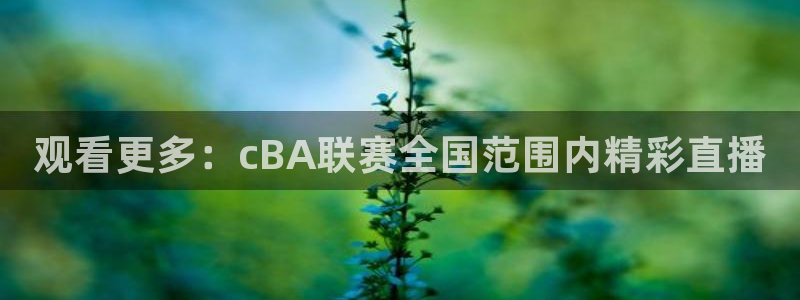 熊猫足球直播：观看更多：cBA联赛全国范围内精彩直播