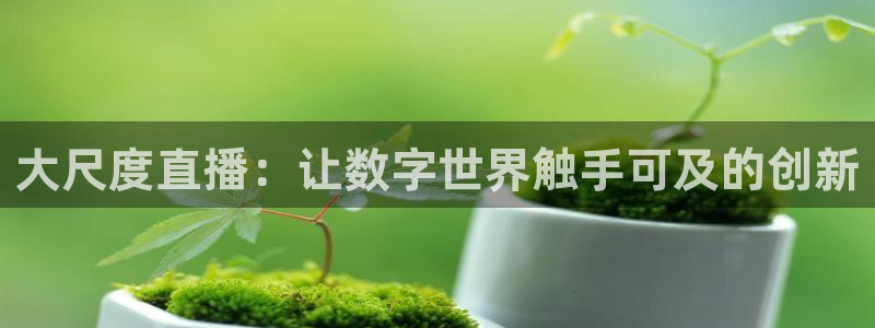 熊猫体育直播app下载：大尺度直播：让数字世界触手可及的创新