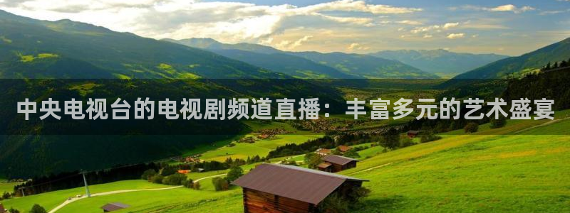 看直播熊猫：中央电视台的电视剧频道直播：丰富多元的艺术盛宴